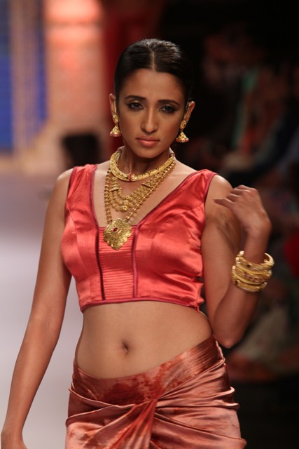 A pose at the Tanishq Show, IIJW 2015.jpg